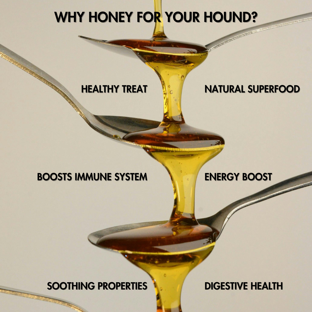 Dog Treat: Honey For Hounds