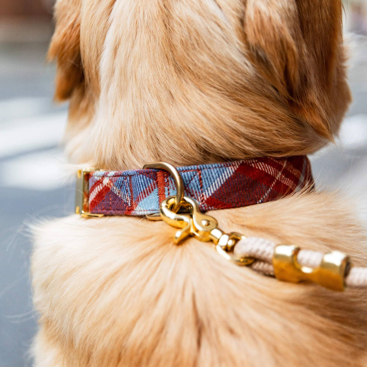The Foggy Dog Maple Plaid Flannel Dog Collar (ships 10/7)