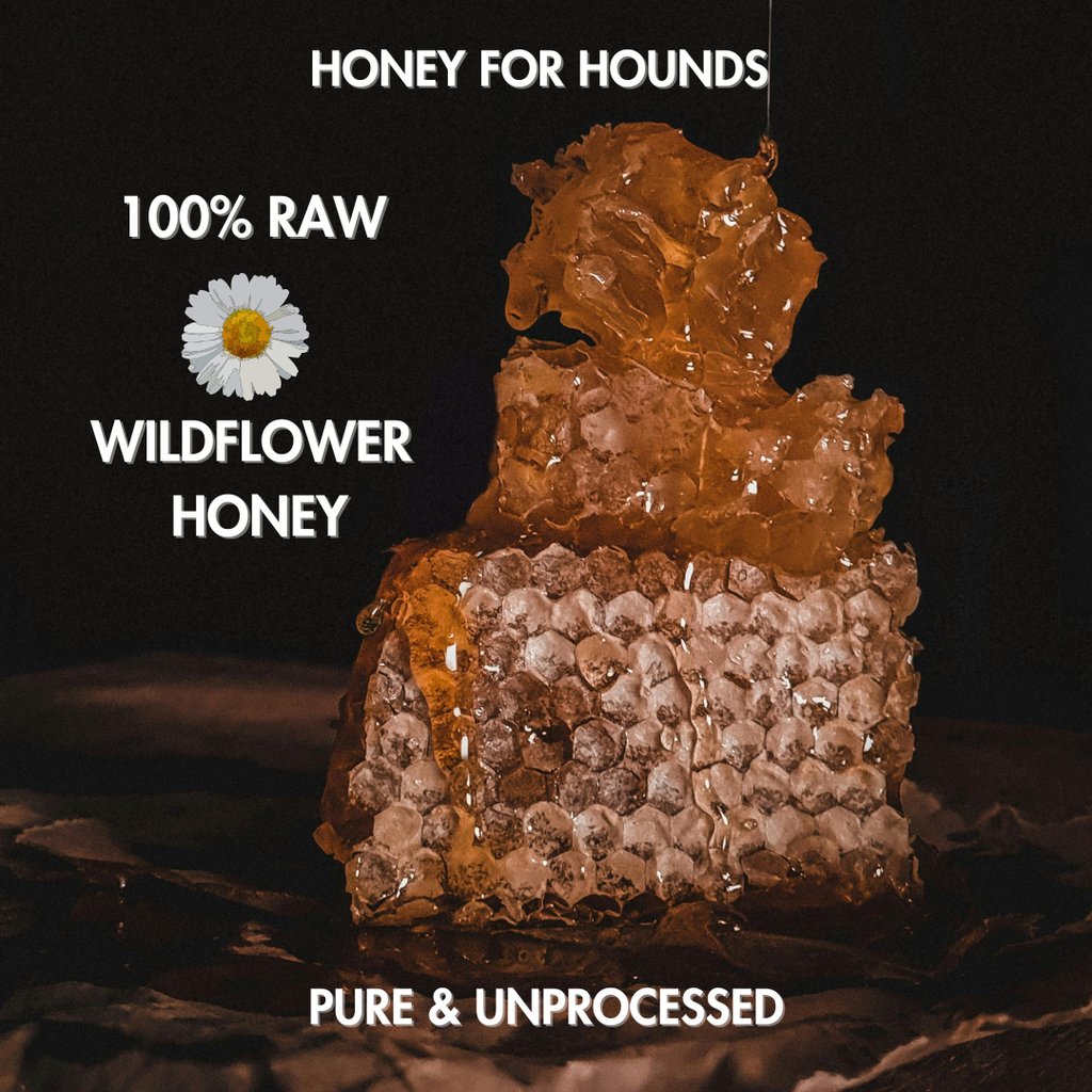 Dog Treat: Honey For Hounds