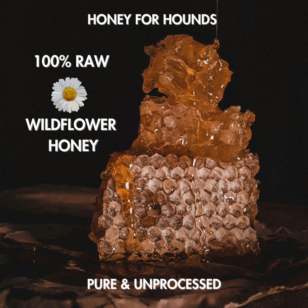 Dog Treat: Honey For Hounds
