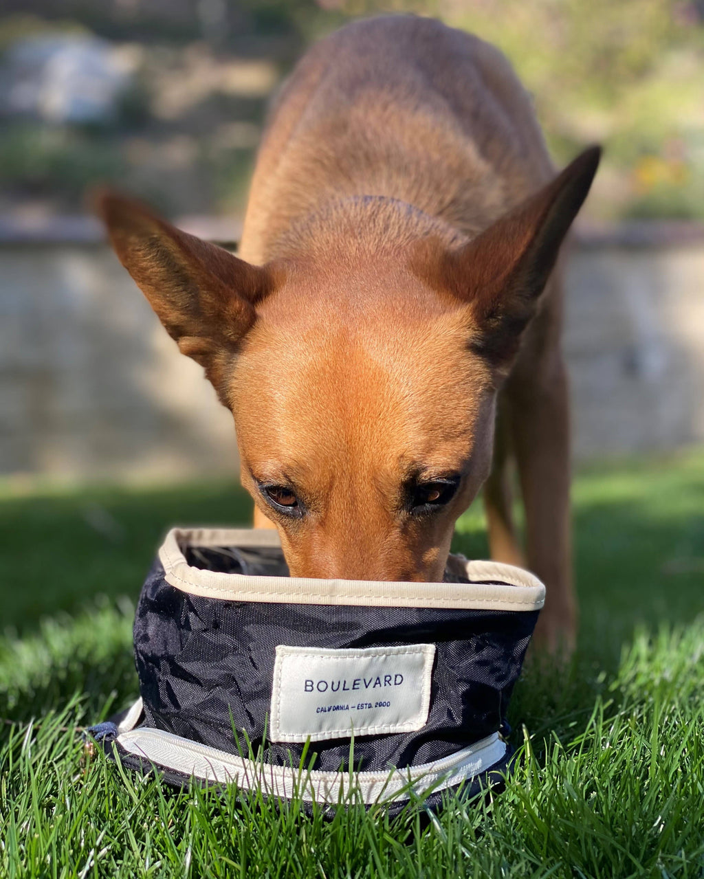 "Lassie" Travel Dog Bowl