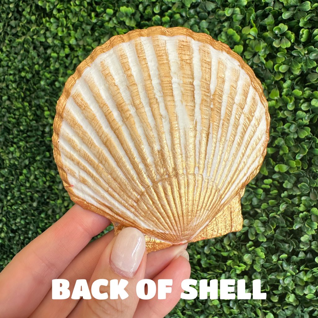 Tropical Monkey Shell Jewelry and Trinket Dish